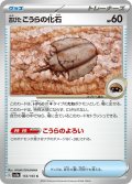 古びたこうらの化石(C)[状態B]〈SV2a〉【155/165】