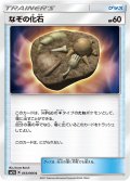 なぞの化石(C)[状態B]〈SM5S〉【055/066】